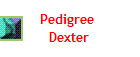 Pedigree 
Dexter